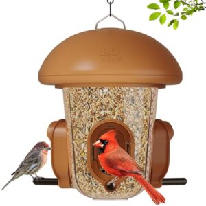 LONA Bird Feeders for Outdoors B0DPWPS93K