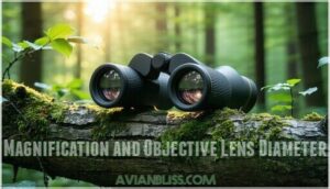 magnification and objective lens diameter