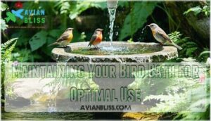 maintaining your bird bath for optimal use