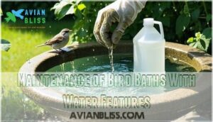 maintenance of bird baths with water features