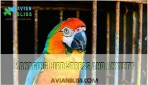 managing bird stress and anxiety