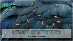 managing mite infestations