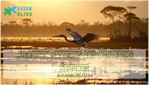 migration patterns and wintering grounds