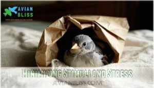 minimizing stimuli and stress minimizing stimuli and stress