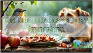 most birds do not possess a great sense of smell