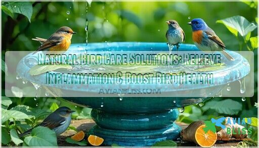 Stunning Bird Care Products image