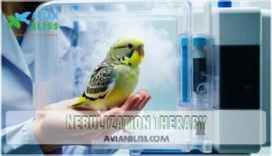 nebulization therapy