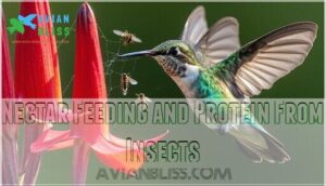 nectar feeding and protein from insects