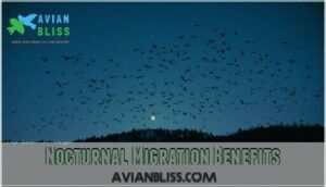 nocturnal migration benefits