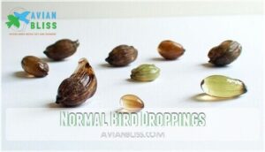 normal bird droppings