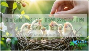 nutrition for baby birds