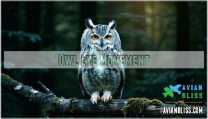 owl eye movement