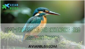 post-processing for enhancing bird behavior photos