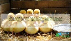 proper care for baby ducklings