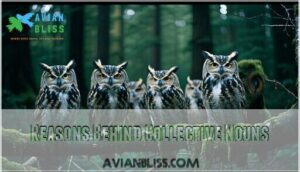 reasons behind collective nouns