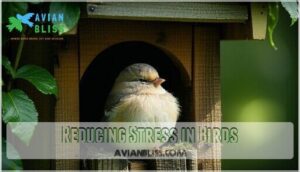reducing stress in birds