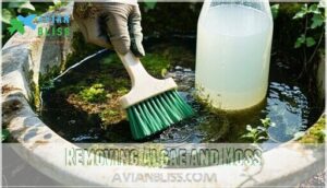 removing algae and moss