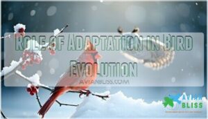 role of adaptation in bird evolution