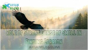 role of strong sense of smell in finding carrion