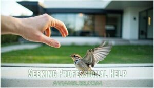 seeking professional help seeking professional help