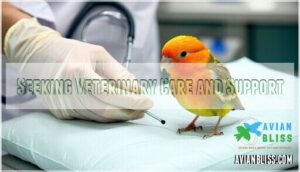 seeking veterinary care and support