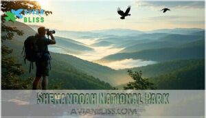 shenandoah national park