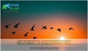 silhouette identification