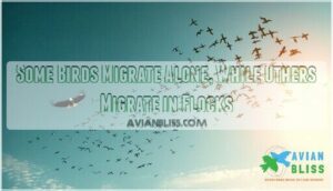 some birds migrate alone, while others migrate in flocks