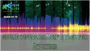 sound visualization: a tool for analysis