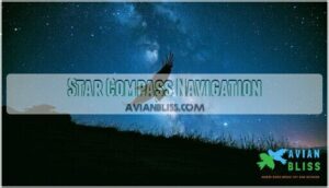 star compass navigation