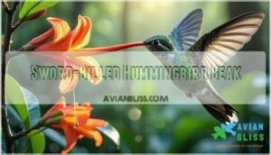 sword-billed hummingbird beak
