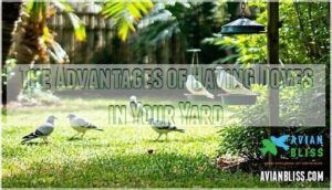 the advantages of having doves in your yard
