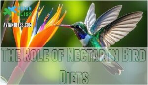 the role of nectar in bird diets