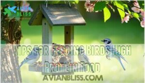 tips for feeding birds high protein food