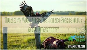 turkey vulture feeding schedule and quantity