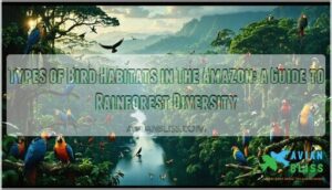 types of bird habitats in the amazon