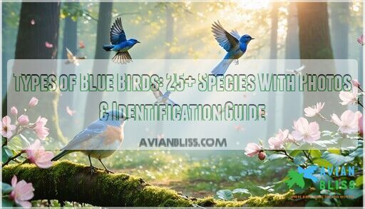 Types of Blue Birds: 25+ Species With Photos & Identification Guide