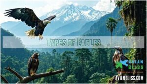 types of eagles