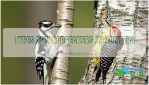types of woodpeckers in montana