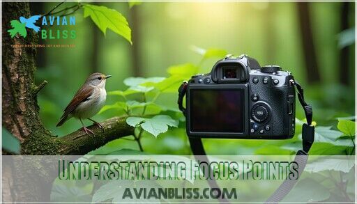 Focusing Techniques Bird Photography: Master Sharp Wildlife Shots