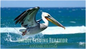 unique feeding behavior