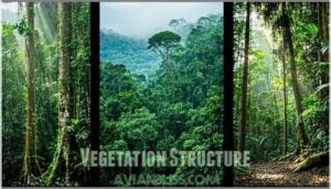 vegetation structure