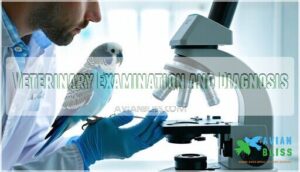 veterinary examination and diagnosis
