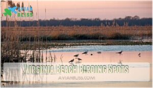 virginia beach birding spots