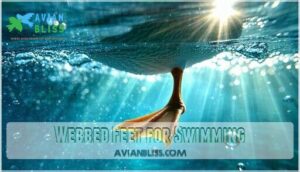 webbed feet for swimming