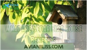 what are cedar bird house benefits