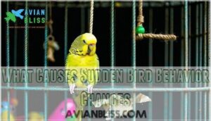 what causes sudden bird behavior changes