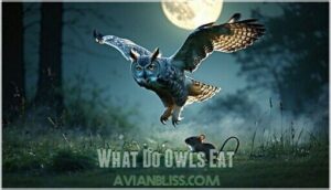 what do owls eat