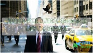 what does it mean when a bird poops on you