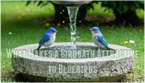 what makes a birdbath attractive to bluebirds
